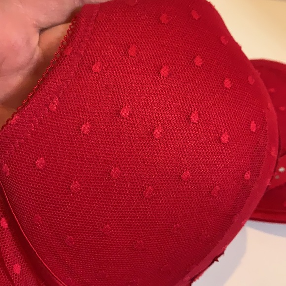 LAVIE EN ROSE - Picture 5 of 15